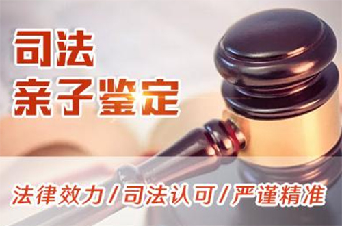 日照司法DNA亲子鉴定在哪个地方做,日照司法亲子鉴定流程是怎样的呢